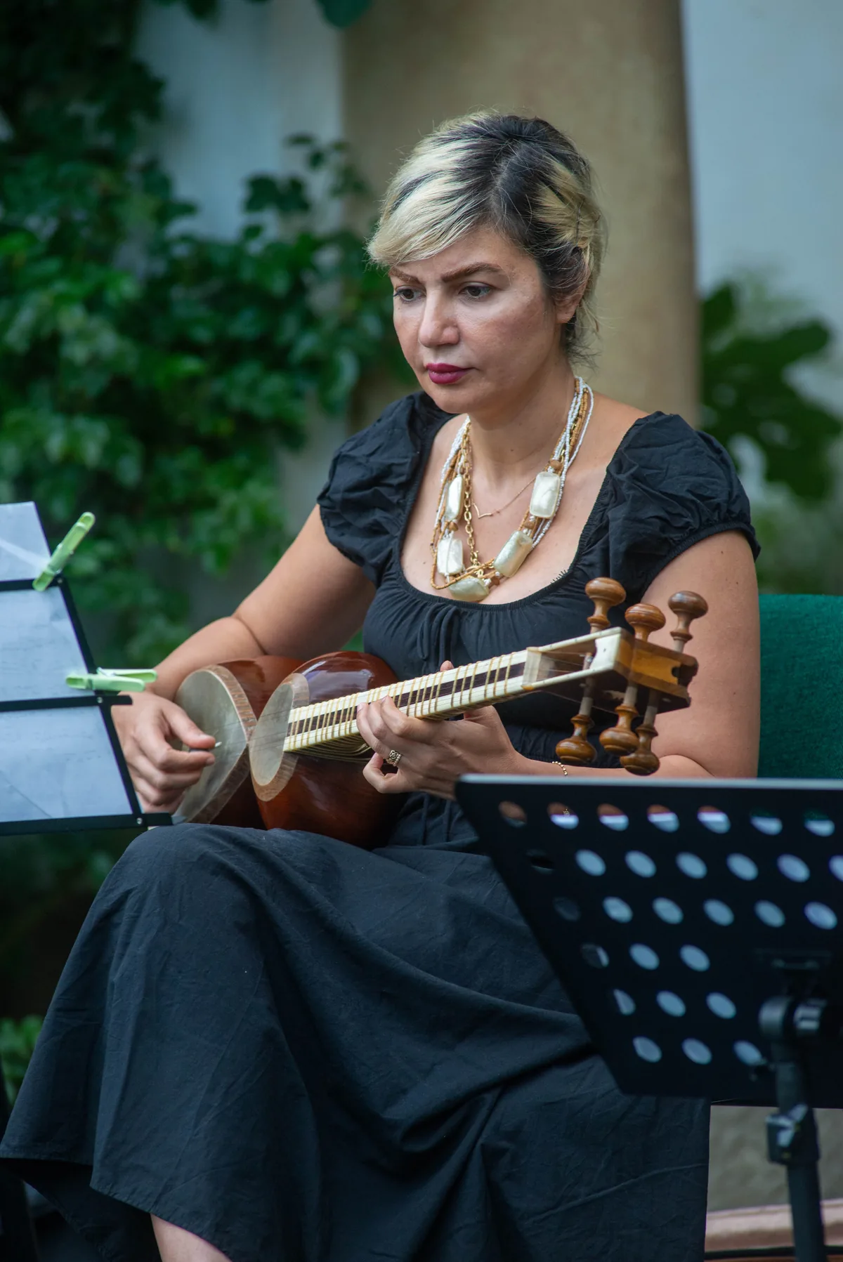 Film la Conac — muzician cu ud