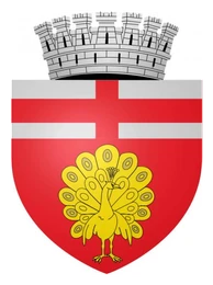 Primăria Municipiului Botoșani